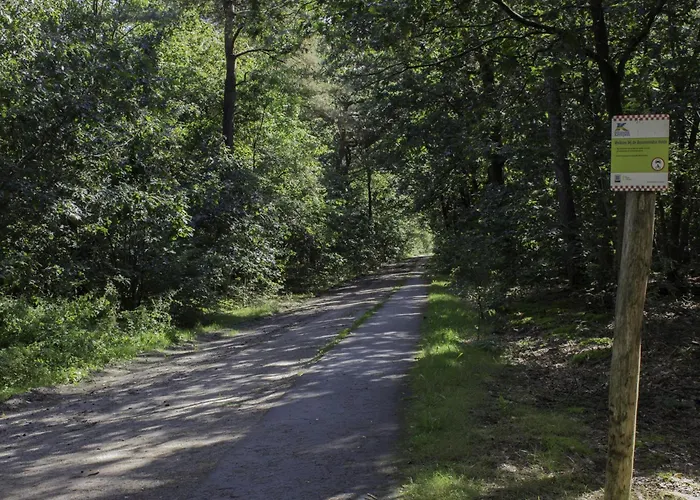 De Bosuil ベッド・アンド・ブレックファスト 3*