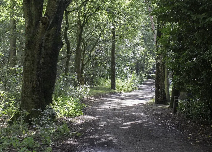 ベッド・アンド・ブレックファスト De Bosuil Steensel