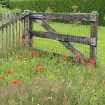De Bosuil Steensel