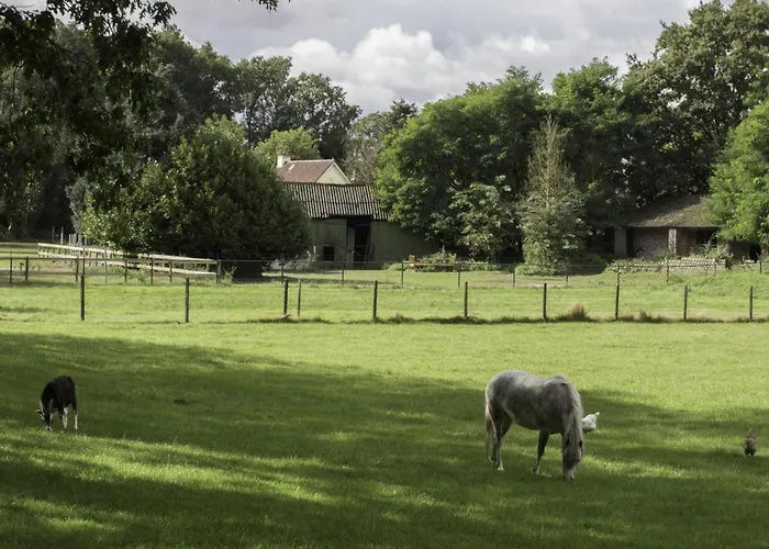 De Bosuil Bed and Breakfast Steensel